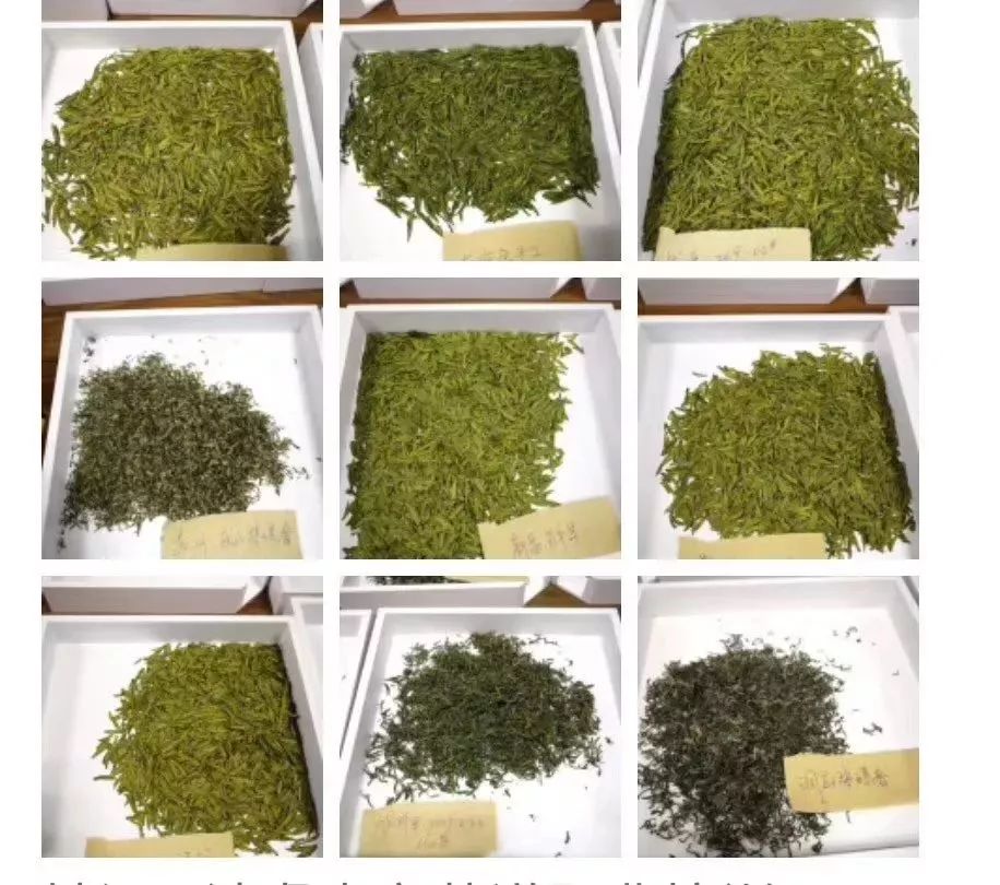 评茶员
