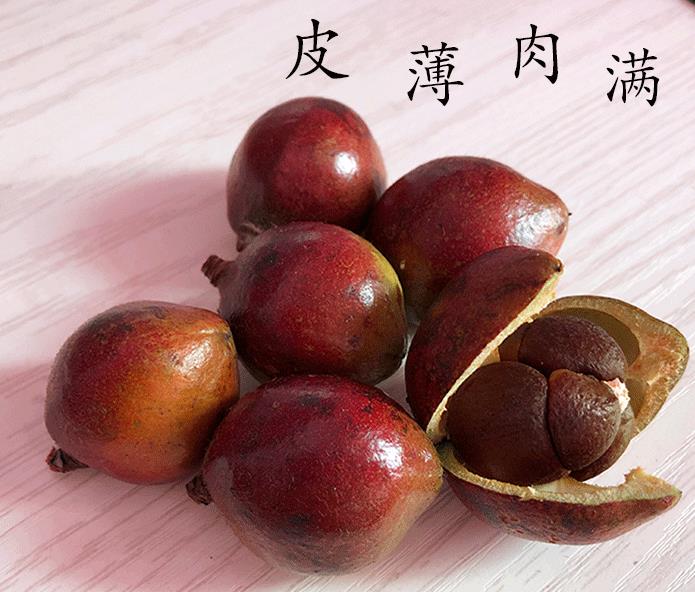 油茶林丰产改造技术
